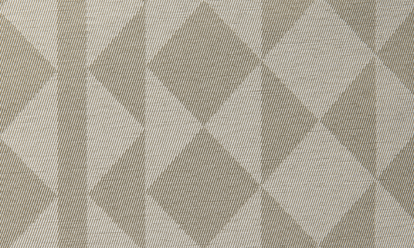 上品なモノグラム柄